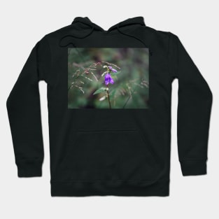 Violet bellflower Hoodie